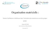 Organisation matricielle - AP-HMfr.ap-hm.fr/.../corevih_orgamatricielle_mreynier.pdf · - L’organisation matricielle représente une culture organisationnelle à part entière -