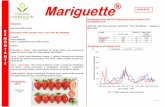 Fiche Mariguette 2016 - lot-et-garonne.chambre-agriculture.fr · Commentaires production (Producteur 47 – itinéraire hors sol) « Les fruits de Mariguette sont bons, doux, sans