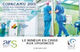 LE MINEUR EN CRISE AUX URGENCES - COPACAMU...Observatoire Régional des Urgences PACA 2011 – extraction TU – Dr G. NOEL