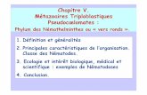 Chapitre V. Métazoaires Triploblastiques Pseudocœlomatesmsermoz.free.fr/PCEP1/Docs+Animations/EOA/EOA_2005...•Vers à symétrie bilatérale, cylindriques, parfois filiformes. •