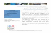 Bulletin du mois de janvier 2016 - Ministère de la ... · 3 PRECIPITATIONS : suite DREAL Rhône-Alpes - Service Ressources, Énergie, Milieux, et Prévention des Pollutions Rapport