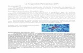 Le Polypeptide Pancréatique (PP) PP.pdf · Cellules à PP immunoréactives au sein du tissu pancréatique exocrine. (x 480). Embryogenèse des cellules à PP Le polypeptide pancréatique