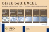 black belt EXCEL - IFBD: Institute for Business Development€¦ · PowerPivot & DAX – partie 5 Tableaux de bord – partie 6 PROGRAMME UNIQUE Cette Master Class unique fera de