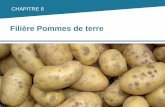 Filière Pommes de terre · terre française donne naissance à un géant de ce secteur. Près de 2 pommes de terre françaises sur 3 en sont issues, voire même près de 3 sur 4