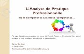 L’Analyse de Pratique · L’Analyse de Pratique Professionnelle de la compétence à la méta-compétence… Sylvie Berthier Cathie Faber Formatrices IFSI Saint Vincent/Strasbourg