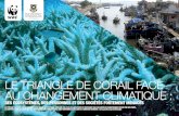 LE TRIANGLE DE CORAIL FACE AU CHANGEMENT CLIMATIQUEle triangle de corail face au changement climatique : des ÉcosystÈmes, des personnes et des sociÉtÉs fortement menacÉs le prÉsent