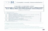 Synergie Transdisciplinaire pour Répondre aux Aléas liés ...osur.univ-reunion.fr/fileadmin/Fichiers/OSU/STRAP... · comparison between aircraft observation data of SO2, H2SO4,