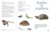 Sanctions Reptiles - Belgium...Détenir des serpents, des tortues et des iguanes est à la mode ces dernières années, même dans notre pays. De nombreux reptiles et amphibiens sont