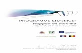 Rapport de mobilité - univ-reims.fr · au développement des services informatiques à Chaumont. ... réflexion sur mon métier et mes aspirations professionnelles. Dès le mois