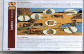 WordPress.comVers 2000000 d'années av. J.-C., commence le Paléolithique (âge de la Pierre taillée). Les hommes du Paléolithique vivent de la chasse, de la pêche et de la cueillette.