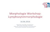 Morphologie Workshop - SULM 2016-06-30¢  Morphologie Workshop: Lymphozytenmorphologie 16.06.2016 Margrit