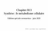 Chapitre B13 Synthèse : le métabolisme cellulairejosephnicolassvt.fr/wp-content/uploads/2020/05/B13.-syn... · 2020-05-31 · Des décarboxylations, qui retirent un carbone à un