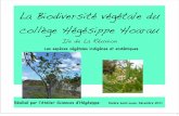 La Biodiversité végétale du collège Hégésippe Hoarau · 2018-10-30 · Origine : Arbuste endémique rare de la Réunion et de Rodrigue Type de feuille : Simple, lobée, portant