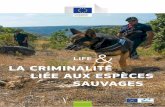 LIFE and Wildlife Crime - European Commissionec.europa.eu/.../lifepublications/lifefocus/...FR.pdf · L’UE est aussi signataire de plusieurs accords internationaux sur la criminalité