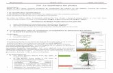 TD2 : La classification des plantes · 2014-03-14 · Biogéographie-----Brahim Jaziri-----FSHST, 2013-2014 1 également de TD2 : La classification des plantes Introduction Depuis