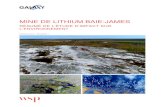 MINE DE LITHIUM BAIE-JAMES - Impact Assessment Agency · RÉVISION 1 . PROJET NO: 171-02562-00 . DATE : FÉVRIER 2019 . Présenté à : L’Agence canadienne d’évaluation environnementale.