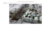 Lyc£©e Aristide Briand -EVREUX - ac-rouen.fredd.spip.ac-rouen.fr/IMG/pdf/productions_lycees_2018.pdf