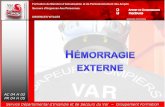 Formation de Maintien d’Actualisation et de Perfectionnement des …sapeurspompiers-var.fr/internet/_media/hemorragie... · 2019-03-29 · AC 04 H 02 PR 04 H 05 Formation de Maintien