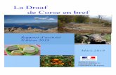 La Draaf de Corse en brefdraaf.corse.agriculture.gouv.fr/IMG/pdf/Rapport_d... · La Draaf de corse occupe un rôle déterminant, en synergie avec les services, agences et offices