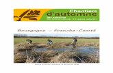 Bourgogne Franche-Comté...Franche-Comté sur la pelouse sèche de « Chez France » au sommet des Echelles de la mort. Au Au programme : fauche des zones non pâturées par les ânes