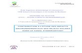 UFR Sciences Economiques et de Gestion de Bordeauxbiblio.univ-antananarivo.mg/pdfs/... · MEMOIRE DE MASTER OPTION : « ÉTUDES ... - Aux autorités des deux Universités Bordeaux