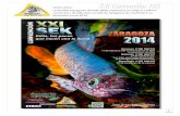 La Société Espagnole de Killis (SEK) organisera sa vingt ......Acuario de -inscription des poissons : Roberto Arbolea Aragoncillo ... Envoi et réception des poissons: Zaragoza Pza
