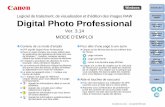 Digital Photo Professionalgdlp01.c-wss.com/gds/9/0300016869/01/dpp-3-14-40-w-im-fr.pdf · Qualité de couleurs : Moyenne (16 bits) ou supérieure Type d’image Extension Images RAW
