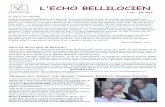 L'ECHO BELLILOCIEN20n%b020%20juin... · 2013-07-02 · La démolition du bâtiment actuel devrait intervenir en juillet, ainsi que l'installation et la sécurisation du chantier.