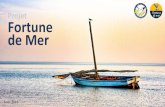 Projet Fortune de Mer - Point-Afrique · Le projet en bref Le projet « Fortune de mer » a pou amition d’extaie les déhets plastiues du Ban d’Aguin, la plus gande éseve onithologiue