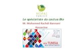 Le spécialiste du cactus Bio · Présentation de la société : • Ri il N lT ii SARaison sociale : Nopal Tunisie SA • Forme juridique : Société anonyme • Fondateur : Bannani