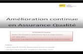 Amélioration continue en Assurance Qualité · 2014-07-01 · Amélioration continue en Assurance Qualité 3 Sophie DOMINGUES – Master QPO – Février - Juillet 2014 ABSTRACT