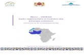 Maroc CEDEAO Cadre règlementaire et évolution …...2008-2016 Les exportations du Maroc à destination de la zone CEDEAO ont triplé depuis 2008 passant de 2,8Mds DH à 8,5Mds DH