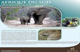 AFRIQUE DU SUD - Voyage Louise Drouin · Ce lieu unique est devenu un paradis pour ces oiseaux, et l'un des rares endroits où ils peuvent encore se prélasser sans être menacés