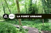 La forêt urbaine - Bruxelles Environnement · R E S U L T A T S 13.212 pages vues sur le blog Page FB suivie par 233 personnes Articles FB touchés par 2260 personnes 42 membres
