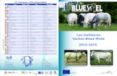 Les meilleures Vaches Bleue Mixte - BlueSel · Les meilleures Vaches Bleue Mixte 2014-2015 Union Européenne : Fonds Européen de Développement Régional Co-financeurs du projet