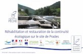 Réhabilitation et restauration de la continuité écologique sur le … JTN Paris 2019 : « Milieux aquatiques et espèces : continuité, connaissance et gestion» Histoie d’un