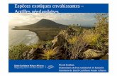 Esp أ¨ces exotiques envahissantes â€“ Antilles nأ©erlandaises 2017-03-23آ  5320 (cell) or 318-1961 (cell)