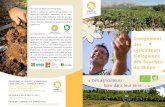 Au cœur de réseaux dynamiques - Bio de Provence · • Impulser les initiatives locales et participer à des actions de plaidoyer Développer la consommation et conquérir les marchés
