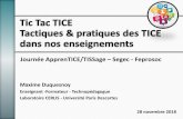 Tic Tac TICE Tactiques & pratiques des TICE dans nos ...portaileduc.net/website/wp-content/uploads/2018/11/... · Forte hétérogénéité selon les établissements et les disciplines