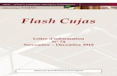 Flash Cujasbiu-cujas.univ-paris1.fr/sites/default/files/documents/flash_cujas_74.pdftrouverez également des conseils et recommandations pour vivre au mieux dans le monde numérique…