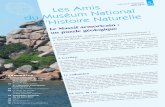 museum 270 24/06/17 9:22 Page 21 Les Amis JUIN 2017 · PDF file armoricains, la sédimentation marine, de plate-forme, se poursuit sans interruption durant tout le Dévonien, qui peut