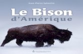 Le Bison d'Amérique… · 2013-10-31 · 8 LE BISON D’AMÉRIQUE l’Europe avec de «vrais Indiens » pour se donner en spectacle ( Buffalo Bill Wild West and Congress of Rough