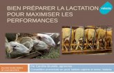 BIEN PRÉPARER LA LACTATION POUR MAXIMISER LES … · Protéin e Gras Lactos e Adapté de Scharch et al., 2000. (Le producteur ne peut agir) % Lactation + + lactation ...