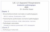 UE 12 Appareil Respiratoire · UE 12 Appareil Respiratoire Anatomie pathologique 2020 Dr Aurélie Cazes Cours 1 -Bronche/bronchiole normales et pathologiquesBPCO, Asthme, Emphysème,