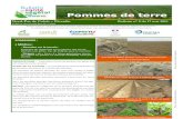 Pommes de terre - NORD-PAS DE CALAIS · Pommes de terre ulletin réalisé en collaboration avec la hambre d’Agriculture du Nord-Pas de Calais, Arvalis Institut du Végétal, les