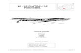 16 - LE PLATEAU DE PUIMICHEL - Internet DREAL PACA · 2013-09-19 · surtout sur les parties hautes du plateau et en fonds de vallons (vallée de la Rancure). La culture du lavandin