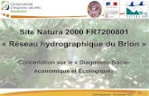 Site Natura 2000 FR7200801 - CEN Aquitaine · CEN Aquitaine – 30 Janvier 2012 Site Natura 2000 FR7200801 ... En France : outil non réglementaire basé sur l'implication de chacun