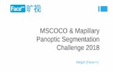 MSCOCO & Mapillary Panoptic Segmentation Challenge 2018 · Residual L2 Loss 𝑙 𝑐𝑙𝑠 𝑙 𝐿2 Base Network 𝑔 − 𝑓1 Design F1 F2 1. Extract two feature maps from