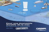 Pour une économie durable de la mer · développement des différents secteurs en lien avec l’économie de la mer dans notre région». La fusion des ex-régions Aquitaine, Limousin