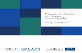 Migrants et réduction des risques des risques de de ......Recommandation 1917 « Migrants et réfugiés : un défi permanent pour le Conseil de l’Europe », qui encourage les États